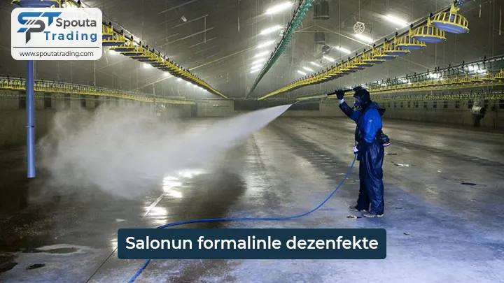 disinfecting the salon with formalin spoutatrading